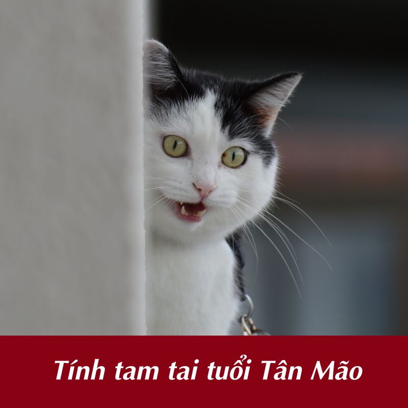 Cách tính tam tai tuổi Tân Mão 