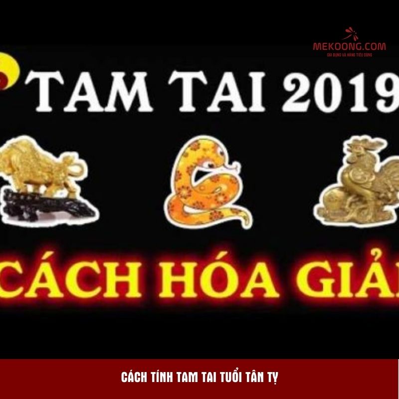 Cách tính tam tai tuổi Tân Tỵ