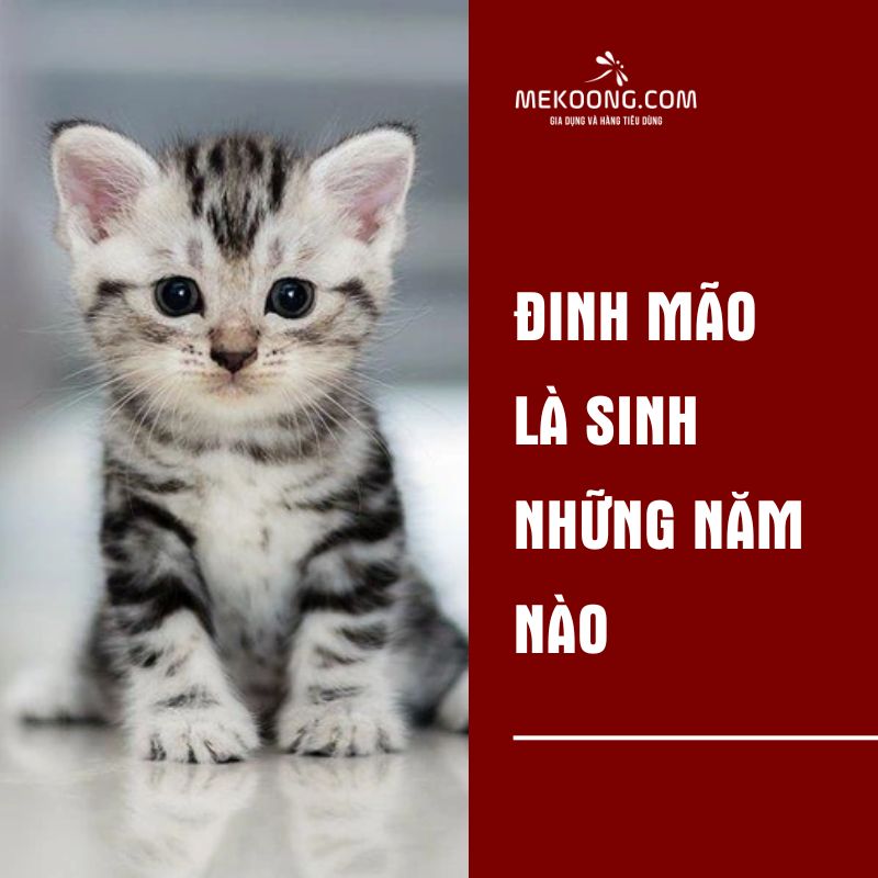 Đinh Mão là sinh những năm nào 