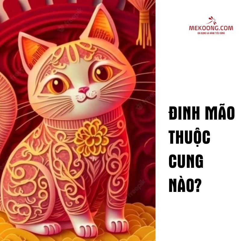 Đinh Mão thuộc cung nào