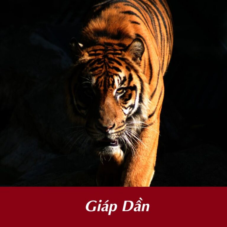 tuổi Giáp Dần