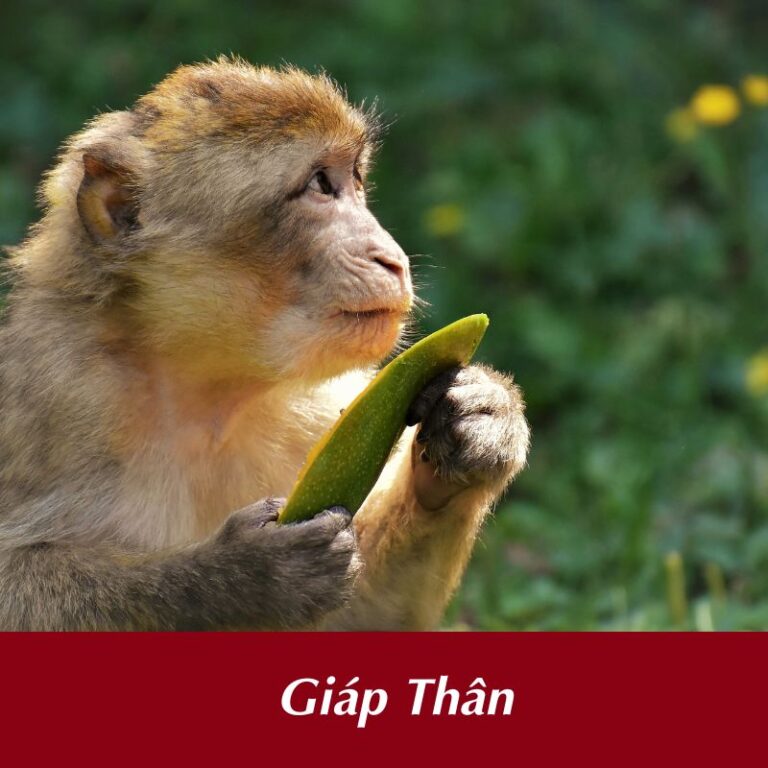 tuổi Giáp Thân