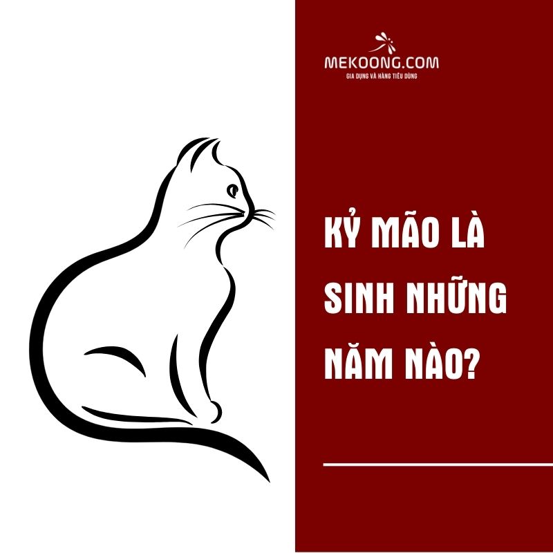 Kỷ Mão là sinh những năm nào?