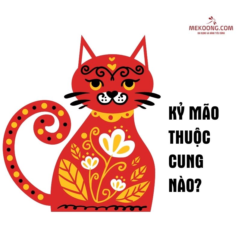 Kỷ Mão thuộc cung nào?