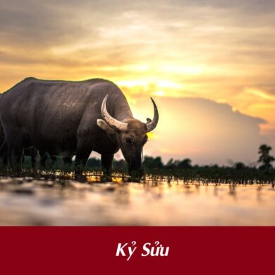 tuổi Kỷ Sửu