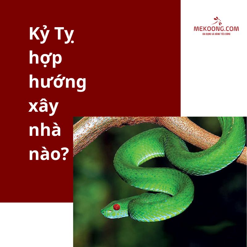 Kỷ Tỵ hợp hướng xây nhà nào