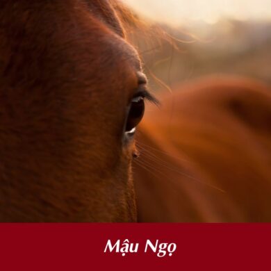 tuổi Mậu Ngọ