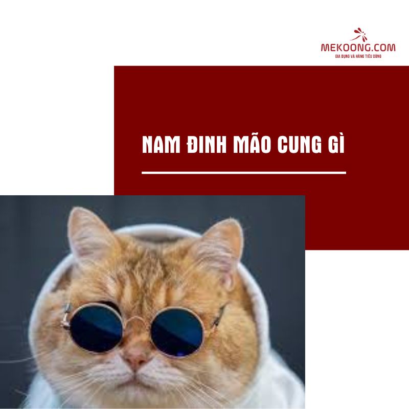 Nam Đinh Mão cung gì