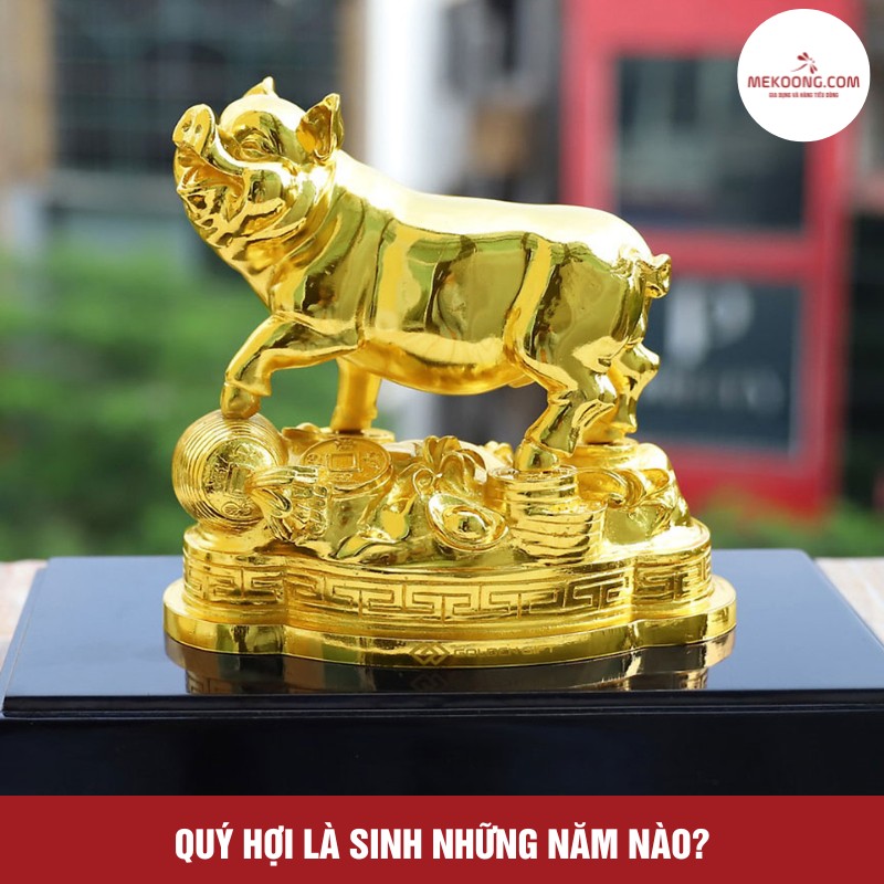 Quý Hợi là sinh những năm nào?