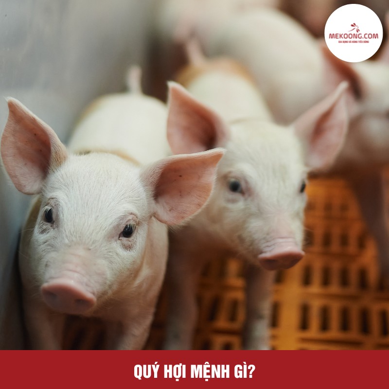 Quý Hợi mệnh gì?