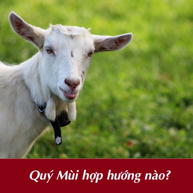 Quý Mùi hợp hướng xây nhà nào?