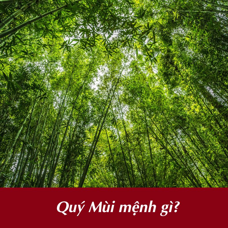 Tuổi Quý Mùi mệnh gì?