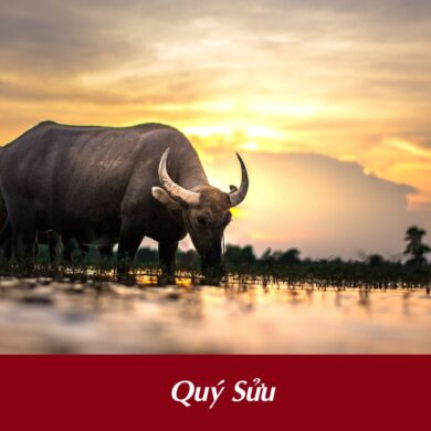 tuổi Quý Sửu