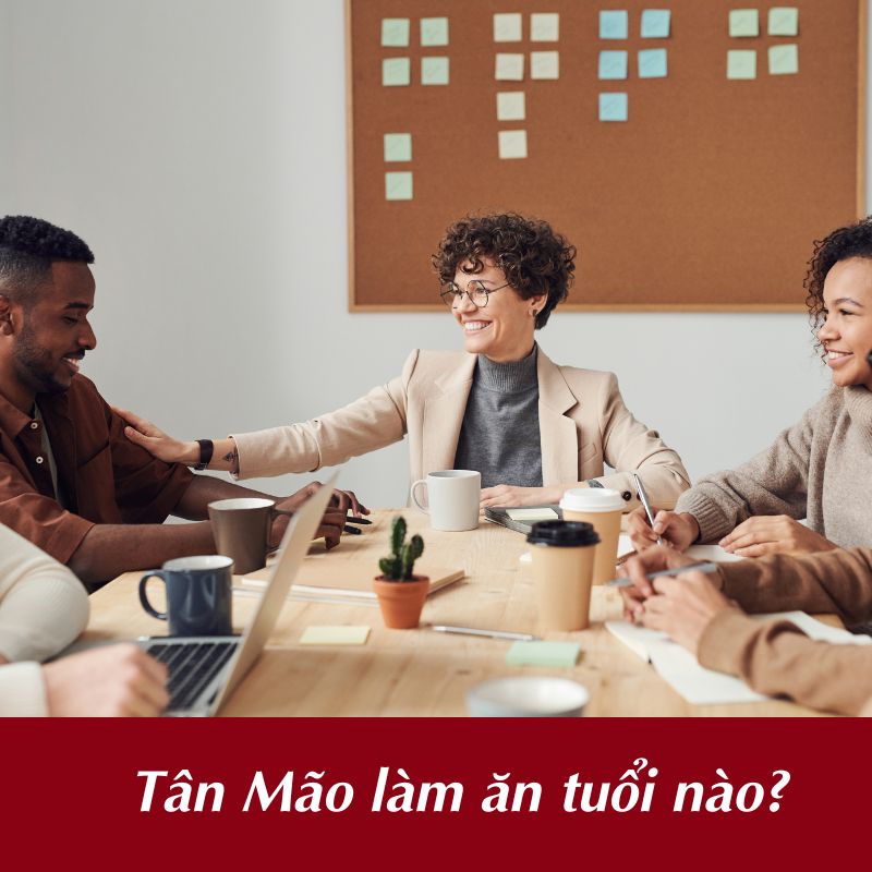 Tân Mão chọn tuổi nào để làm ăn phát đạt?