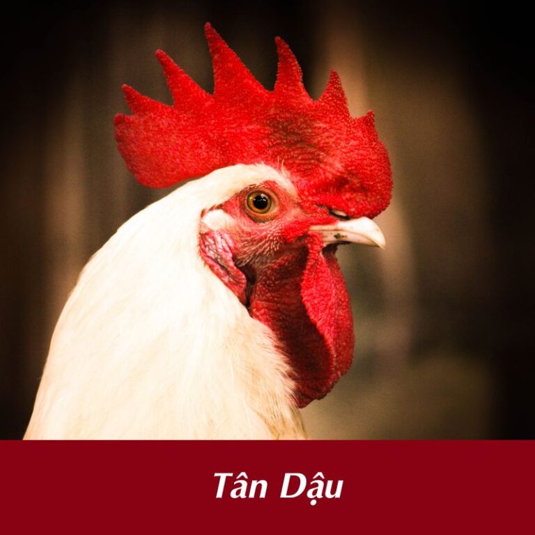 tuổi Tân Dậu