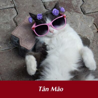 Tan Mao Tuổi Tân Mão