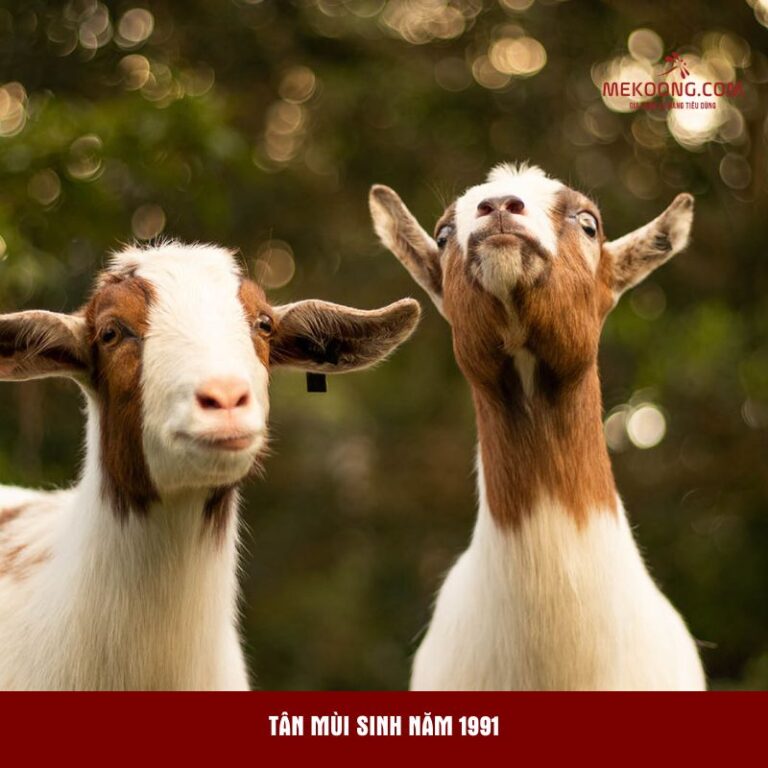 Tân Mùi sinh năm 1991