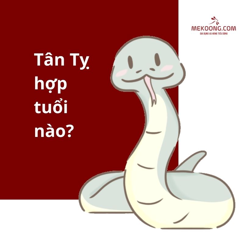 Tân Tỵ hợp tuổi nào?