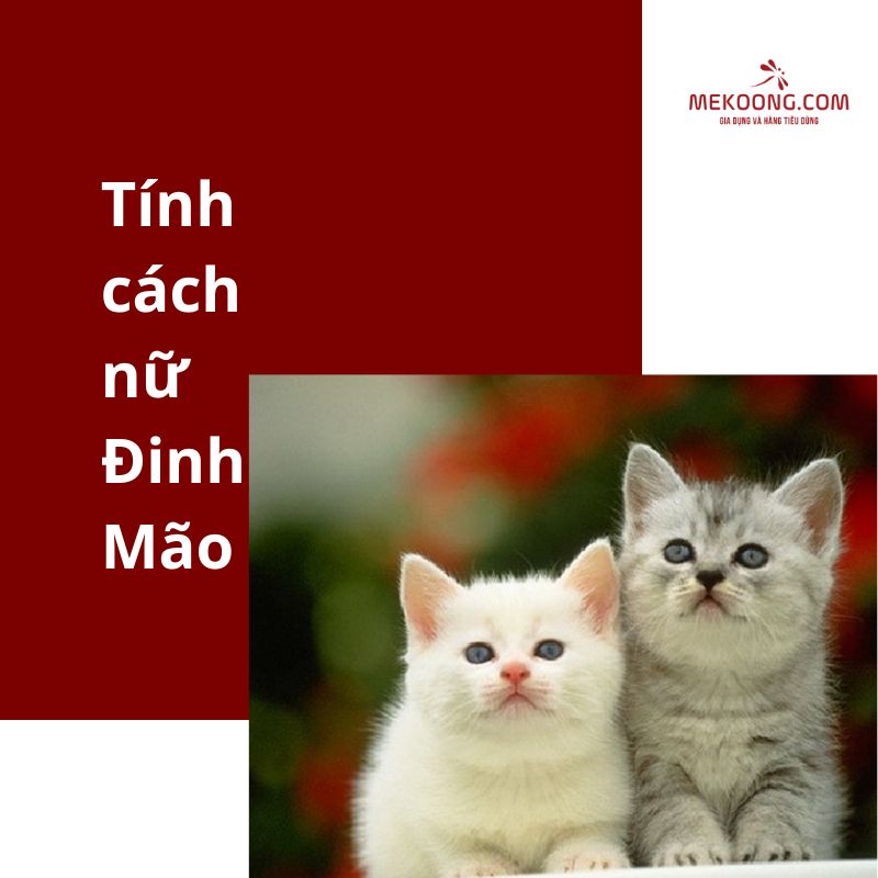 Tính cách nữ Đinh Mão 