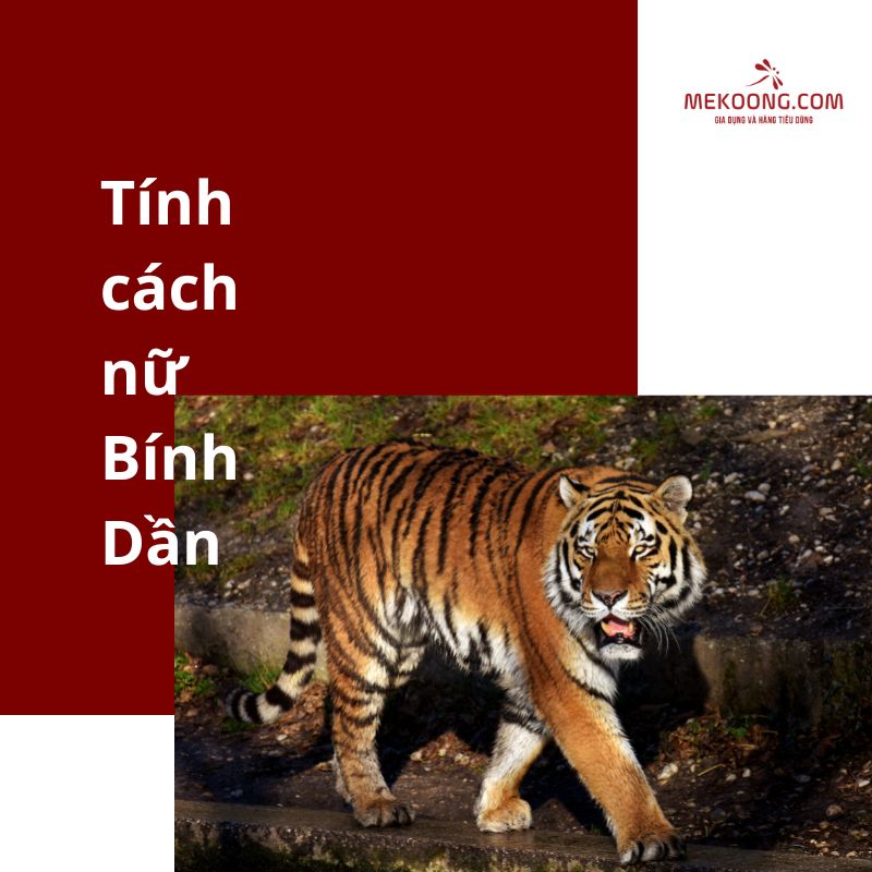 Tính cách nữ Bính Dần 