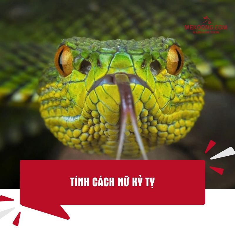 Tính cách nữ Kỷ Tỵ