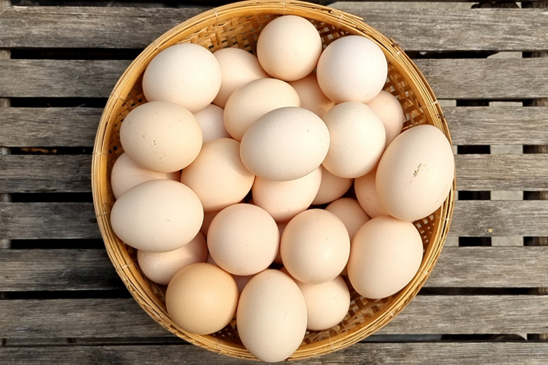 Cách chọn trứng gà ngon, rõ nguồn gốc