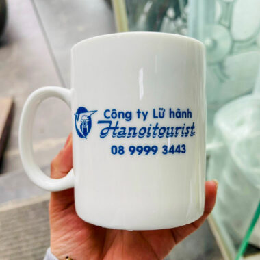 Qua-Tang-Du-Lich-Ly-Su-Gia-Re-In-Logo-Tour-35.000