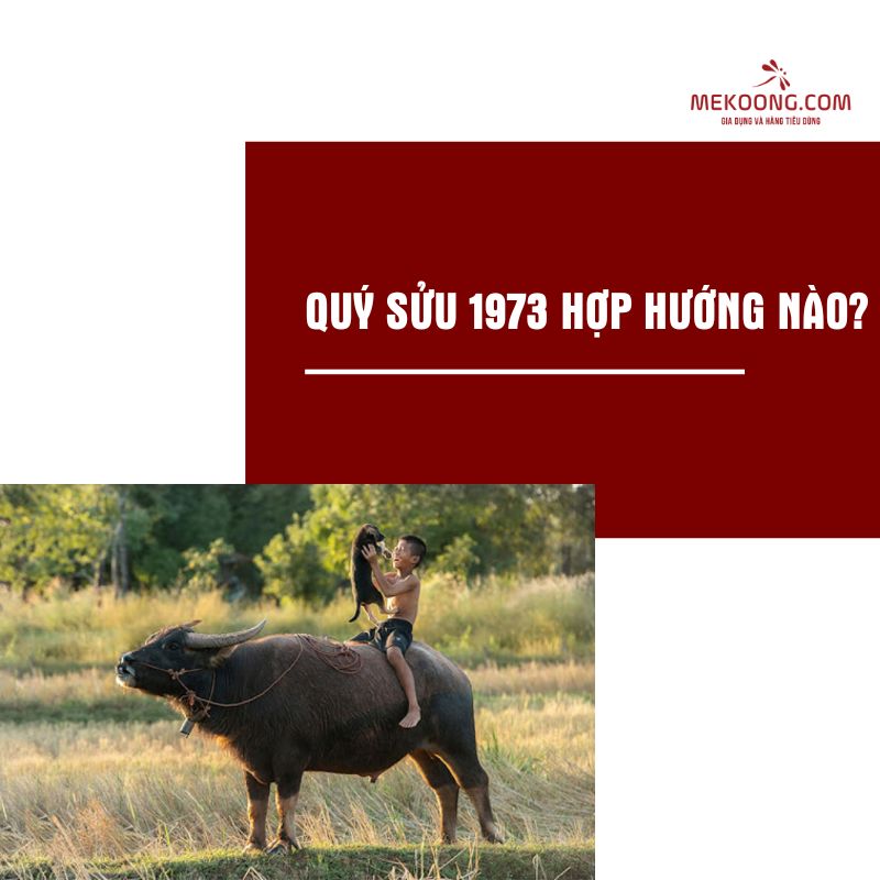 Quý Sửu 1973 hợp hướng nào?