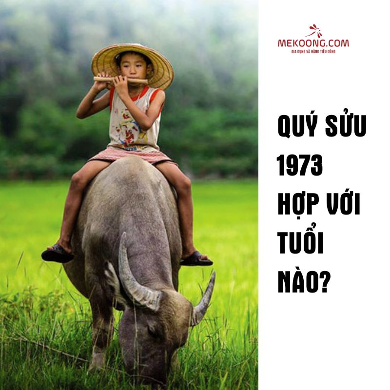 Quý Sửu 1973 hợp với tuổi nào?