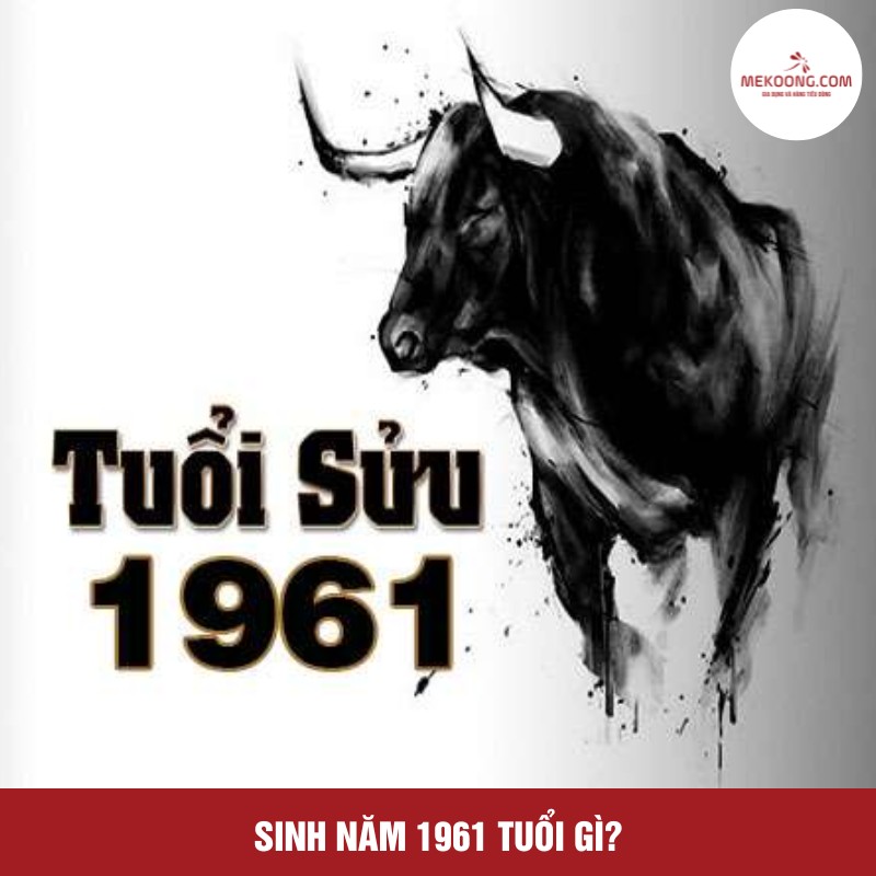 Sinh năm 1961 tuổi gì?
