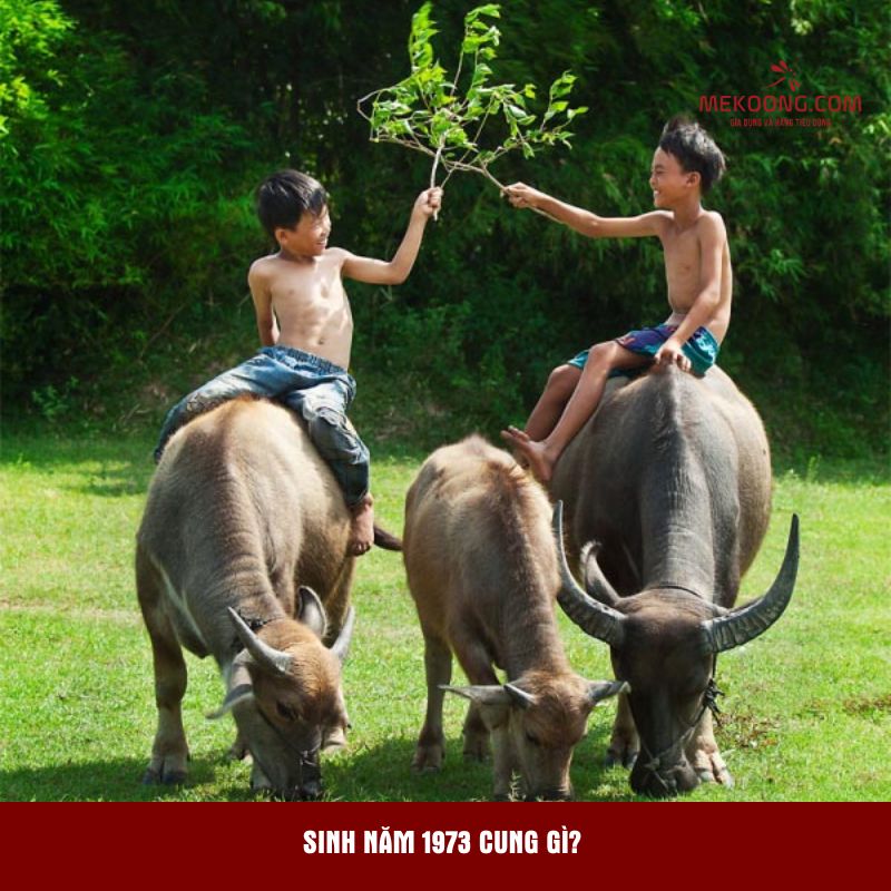 Sinh năm 1973 cung gì?