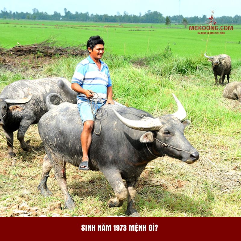Sinh năm 1973 mệnh gì?