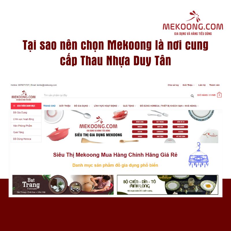 Tại sao nên chọn Mekoong là nơi cung cấp Thau Nhựa Duy Tân