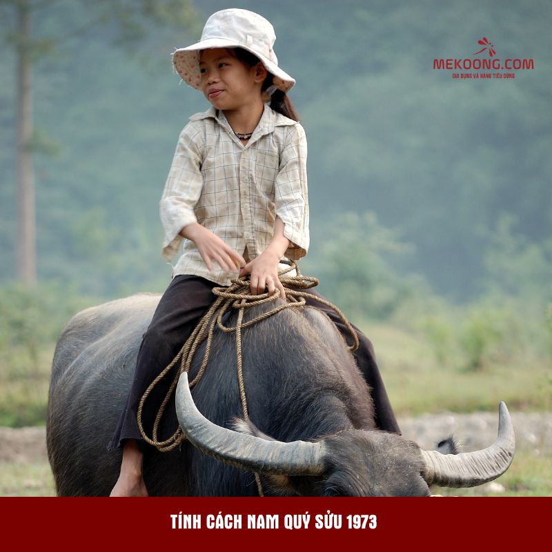 Tính cách nam Quý Sửu 1973