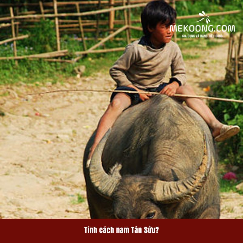 Tính cách nam Tân Sửu 1961