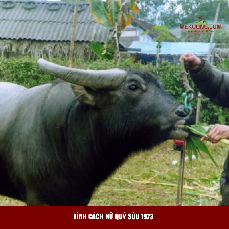 Tính cách nữ Quý Sửu 1973