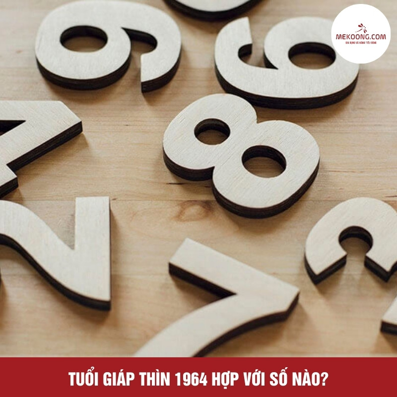 Tuổi Giáp Thìn 1964 phù hợp với số nào?