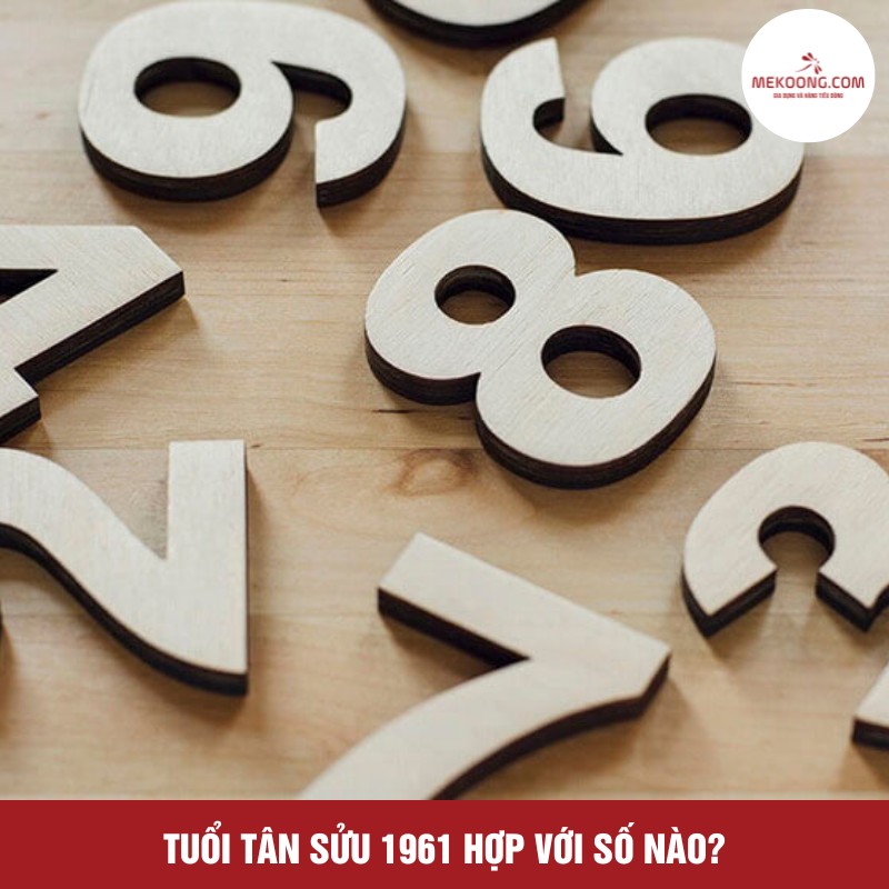 Tuổi Tân Sửu 1961 hợp với số nào?
