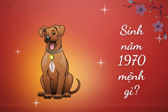 Van menh cua nguoi sinh nam Canh Tuat 1970 Vận mệnh của người sinh năm Canh Tuất 1970