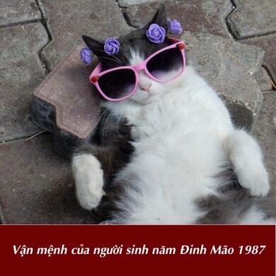 Van menh cua nguoi sinh nam Dinh Mao 1987 Vận mệnh của người sinh năm Đinh Mão 1987