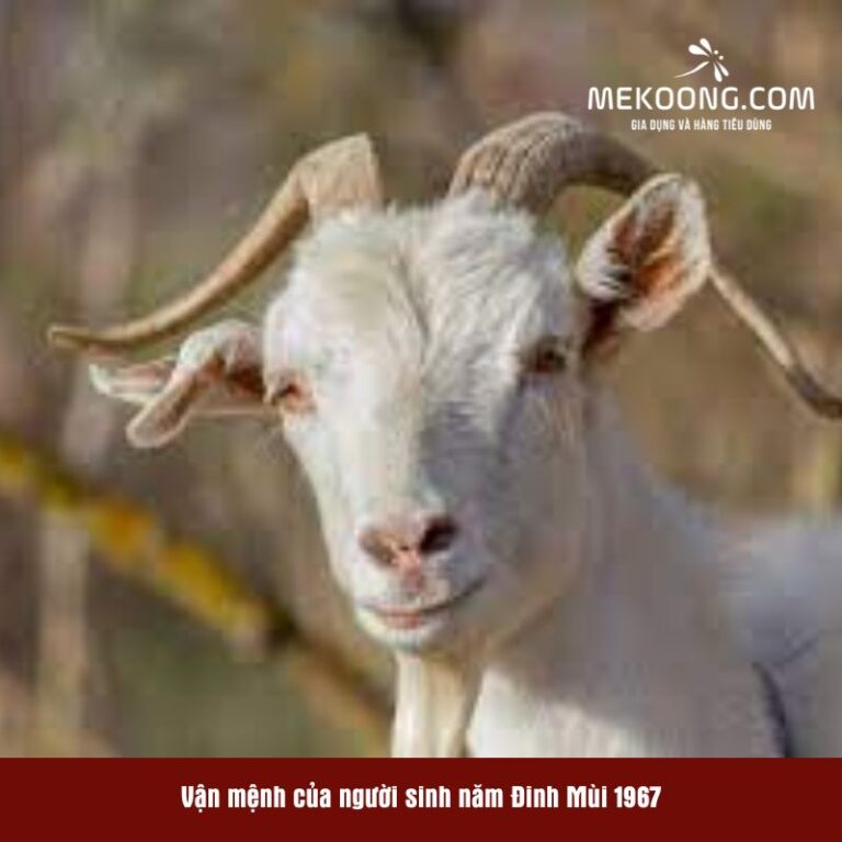 Vận mệnh của người sinh năm Đinh Mùi 1967