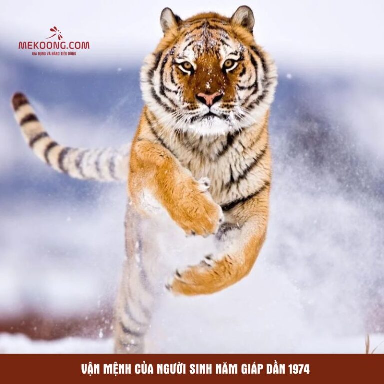 Vận mệnh của người sinh năm Giáp Dần 1974