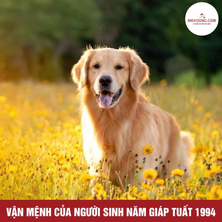 Vận mệnh của người sinh năm Giáp Tuất 1994