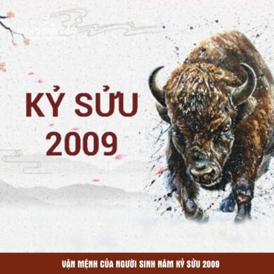 Vận mệnh của người sinh năm Kỷ Sửu 2009