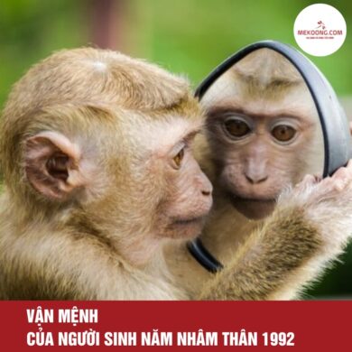 Van menh cua nguoi sinh nam Nham Than 1992 Vận mệnh của người sinh năm Nhâm Thân 1992