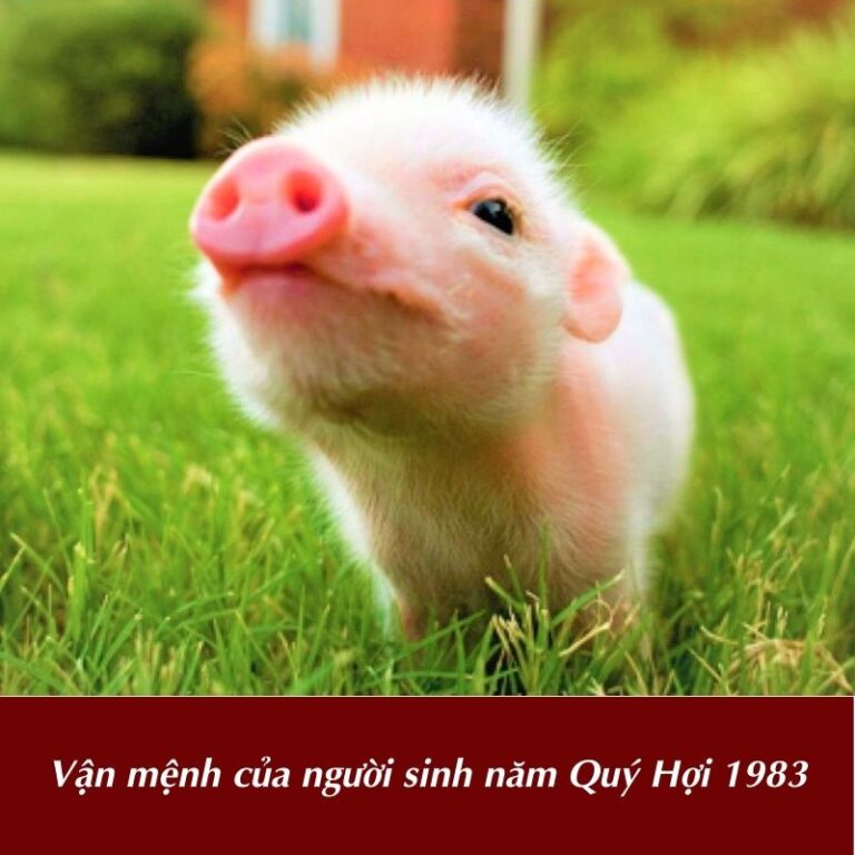 Vận mệnh của người sinh năm Quý Hợi 1983