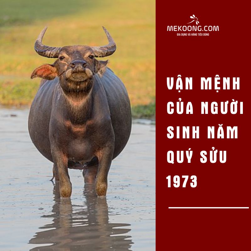 Vận mệnh của người sinh năm Quý Sửu 1973