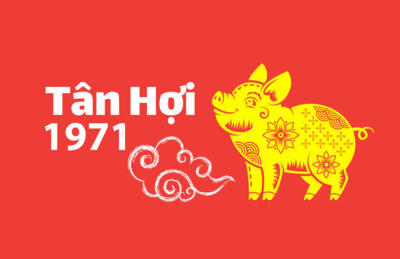 Van menh cua nguoi sinh nam Tan Hoi 1971 Vận mệnh của người sinh năm Tân Hợi 1971