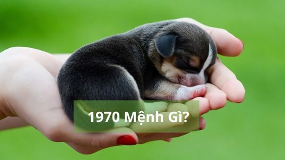 1970 mệnh gì (1200x673)