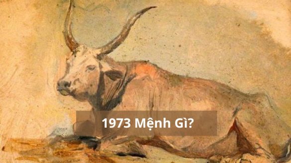 1973 mệnh gì (1200x673)